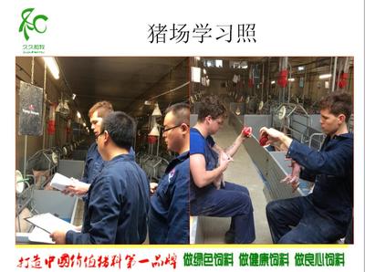黨廣輝:歐洲現(xiàn)代化高效養(yǎng)豬技術(shù)-荷蘭豬場考察學習分享
